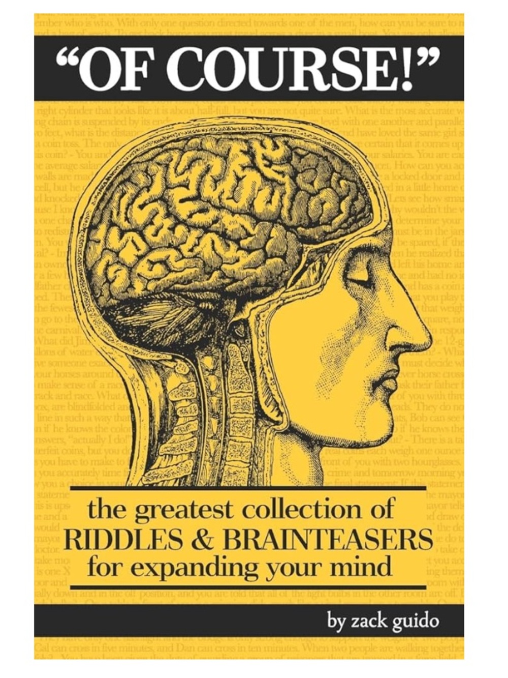 🟣 BOGO! Like New! Riddles & Brainteasers Book
